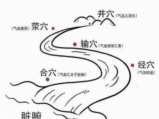 人体系统维护手册：五输穴的底层逻辑