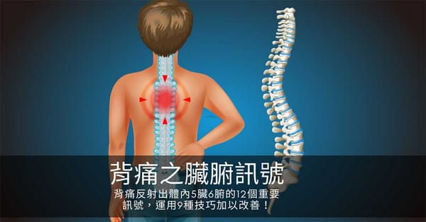 中医结合现代医学徒手触诊方案